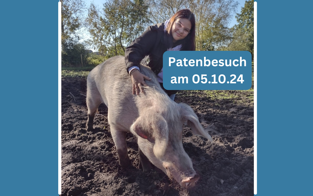 Patenschaftsbesuch vom 05.10.2024 von Anika und Jan für Loki