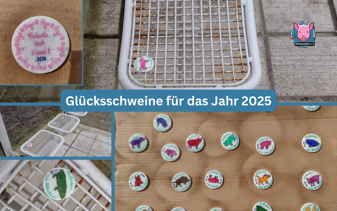 Glücksschweine für das Jahr 2025 - verteilt in Aurich und Wittmund