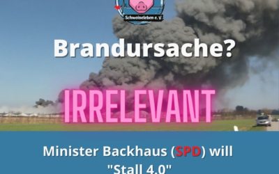 Stall(brand) 4.0 – Oder das Schicksal der Schweine von Alt Tellin