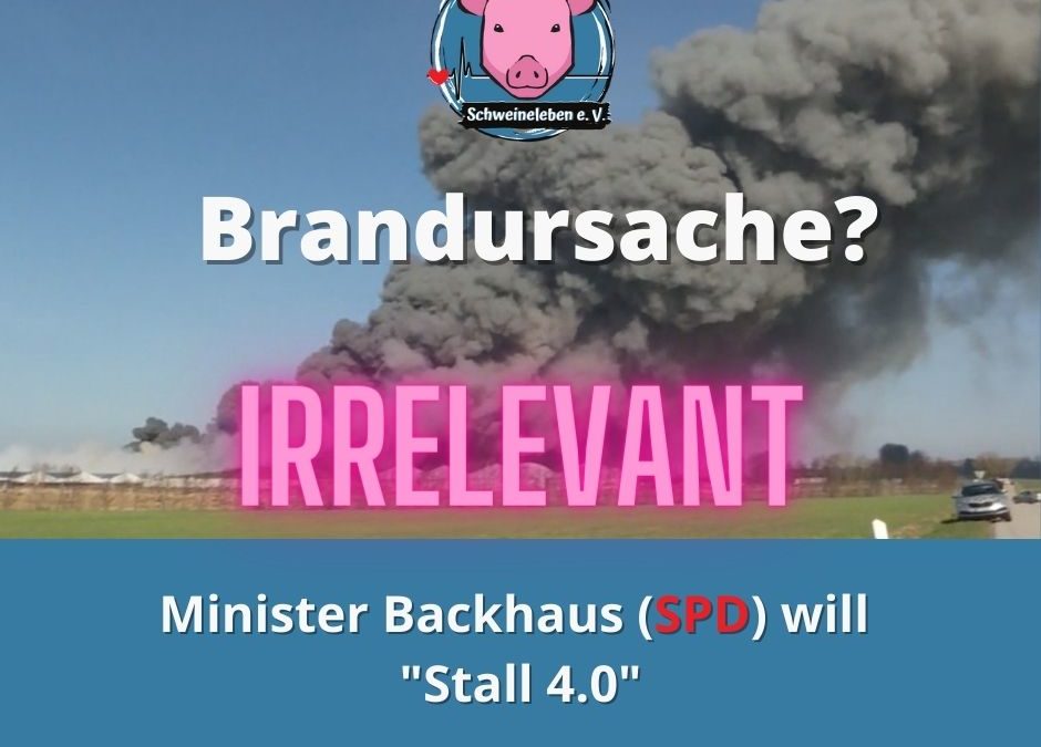 Brandursache Schweinezucht Alt Tellin