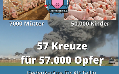 57 Kreuze für 57.000 Schweine