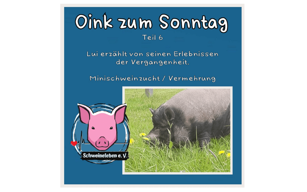 Das Oink zum Sonntag Teil 6 - Lui erzählt