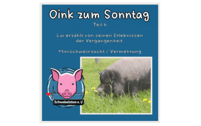 Das Oink zum Sonntag (Teil 6) – Lui erzählt aus seiner Vergangenheit (von Kerstin Hinrichs)