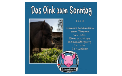 Das Oink zum Sonntag (Teil 3) – Bruno und die Wühlleidenschaft (von Tasha Lein)