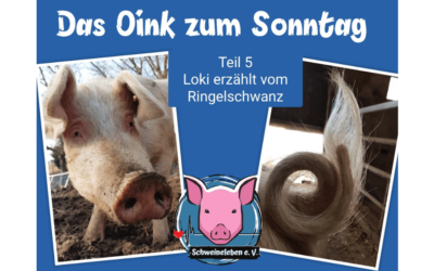 Das Oink zum Sonntag (Teil 5) – Loki erzählt vom Ringelschwanz (von Conny Unterberg)