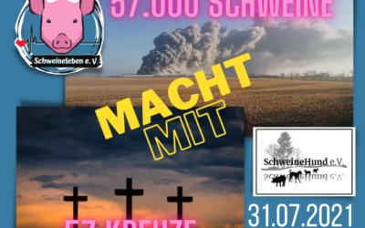 57 Kreuze für 57.000 verbannte Schweine