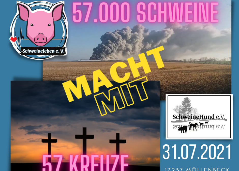 57.000 Schweine verbrannten in Alt Tellin