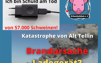 57.000 Schweine klagen weiter an!