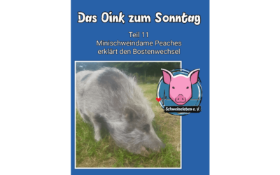 Das Oink zum Sonntag (Teil 11) – Peaches erzählt vom Borstenwechsel (von Kerstin Hinrichs)