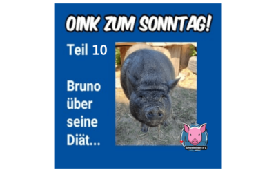 Das Oink zum Sonntag (Teil 10) – Bruno und die Diät (von Natascha Leistikow)