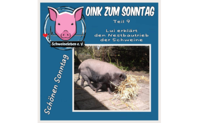 Das Oink zum Sonntag (Teil 9) – Lui und der Nestbautrieb (von Kerstin Hinrichs)