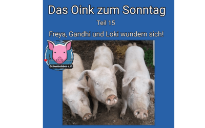 Das Oink zum Sonntag (Teil 15) – Freya, Loki und Gandhi wundern sich über bastelnde Zweibeiner (von Conny Unterberg)