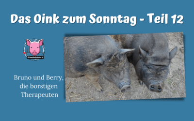 Das Oink zum Sonntag (Teil 12) – Bruno und Berry, die borstigen Therapeuten (von Natasha Leistikow)