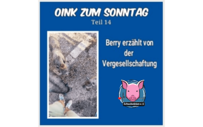 Das Oink zum Sonntag (Teil 14) – Die Vergesellschaftung (von Natascha Leistikow)