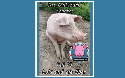 Das Oink zum Sonntag (Teil 13) – Loki und die Eber (von Jörg Kipka)