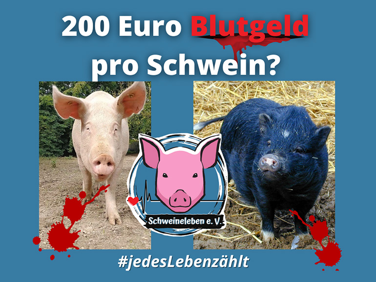 200 Euro Blutgeld für tote Schweine?