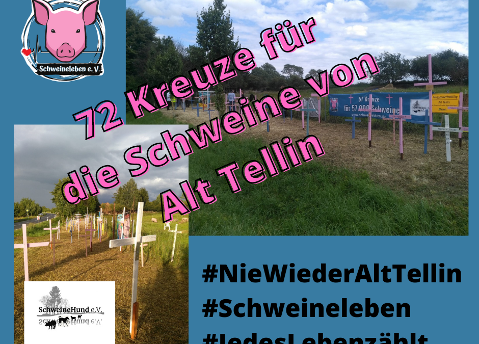 Gedenkstätte für die Schweine von Alt Tellin mit 72 Kreuzen