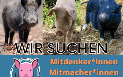 Schweineleben e. V. sucht: Dich!