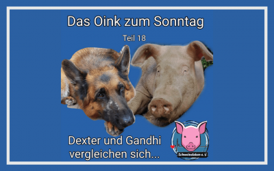 Das Oink zum Sonntag (Teil 18) – Gandhi und Dexter vergleichen sich