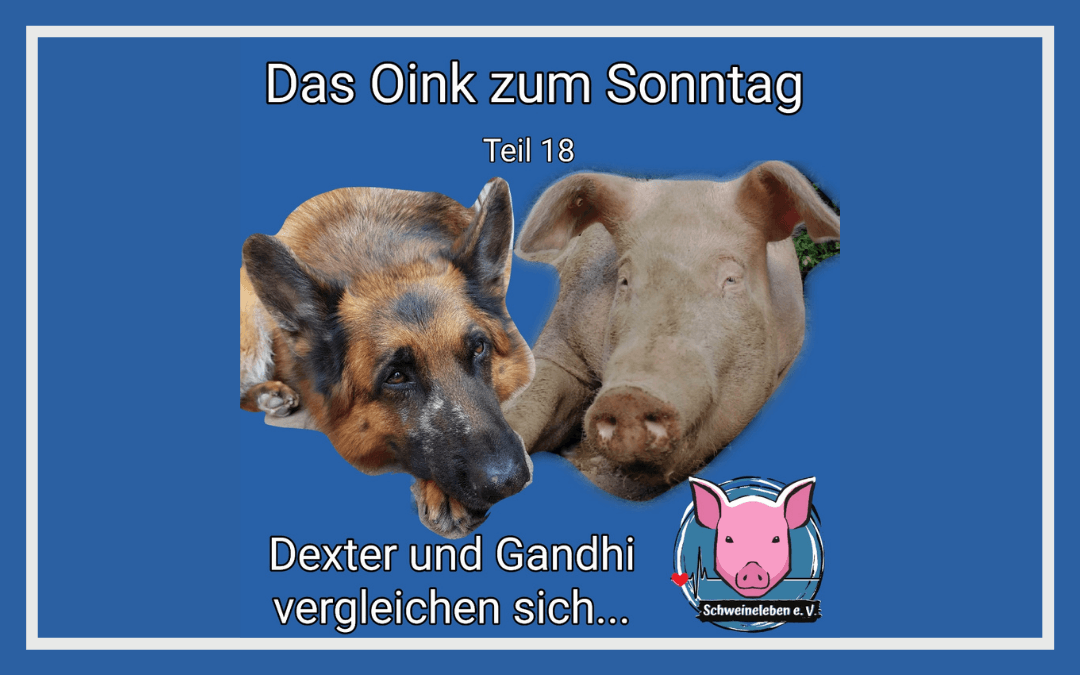 Das Oink zum Sonntag - Teil 18 Gandhi und Dexter vergleichen sich