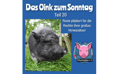 Das Oink zum Sonntag (Teil 20) – Rosie plädiert für die Rechte ihrer großen Verwandten