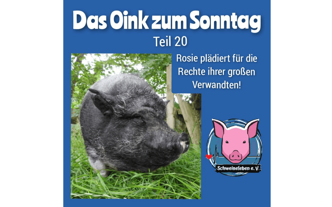 Das Oink zum Sonntag - Teil 20 - Rosie plädiert für die Rechte ihrer großen Verwandten