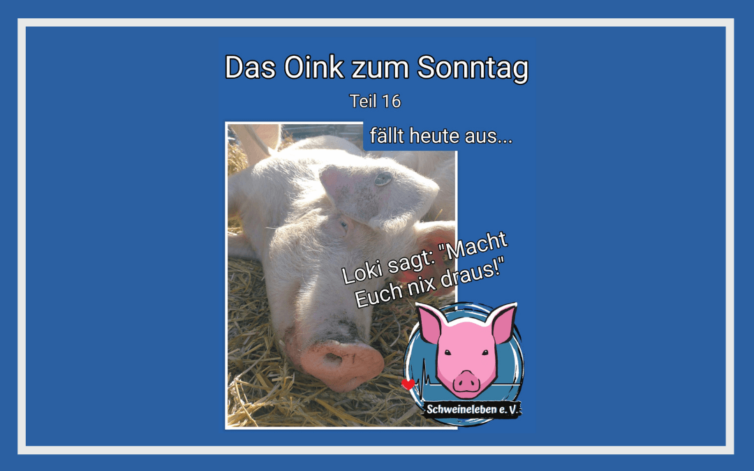 Das Oink zum Sonntag - Loki