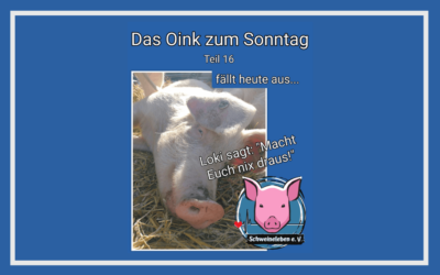 Das Oink zum Sonntag (Teil 16) – … fällt aus (von Conny Unterberg)