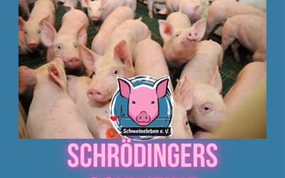 Schrödingers Schweine