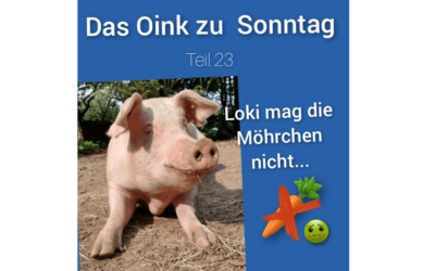 Das Oink zum Sonntag (Teil 23) – Loki mag keine Möhren von Conny Unterberg