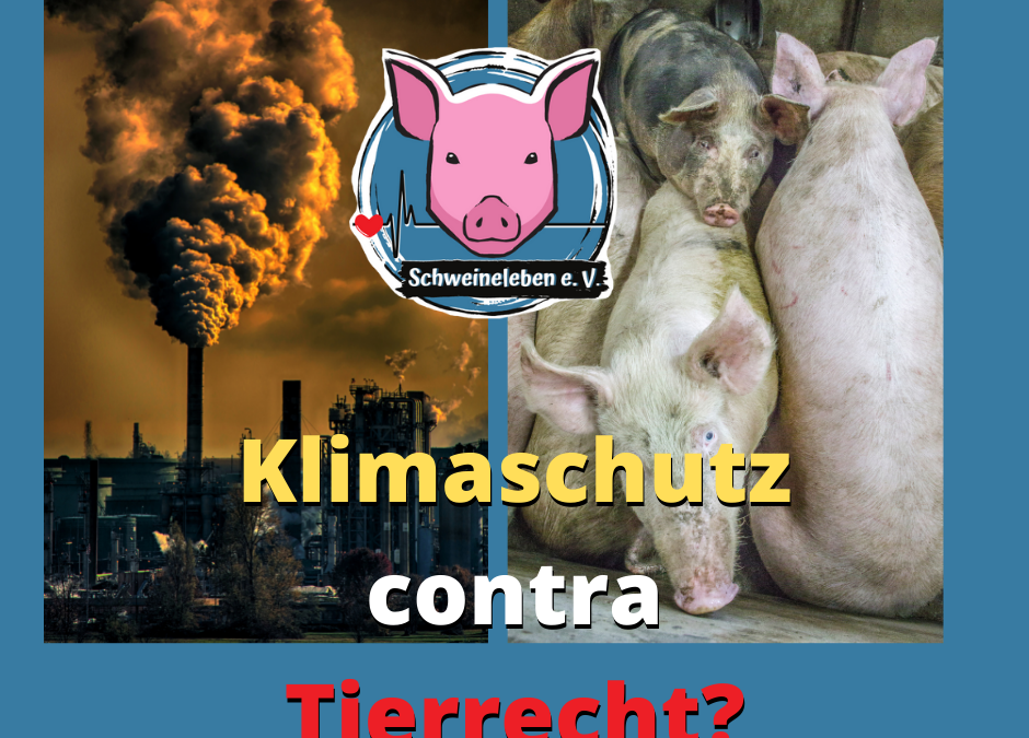 Klimaschutz contra Tierrecht