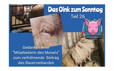 Das Oink zum Sonntag Teil 26 – Gedanken einer Mitarbeiterin des Monats (von Conny Unterberg)