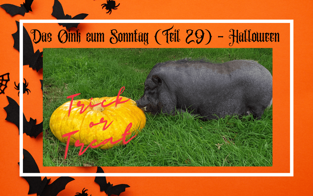 Das Oink zum Sonntag (Teil 29) - Halloween Trick or Treat