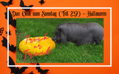 Das Oink zum Sonntag (Teil 29) – Halloween Trick or Tweat mit Rosi (von Sabine Duda / Sabine Kipka)