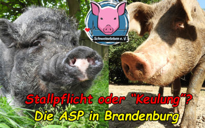 Brandenburg ist (bald?) überall…