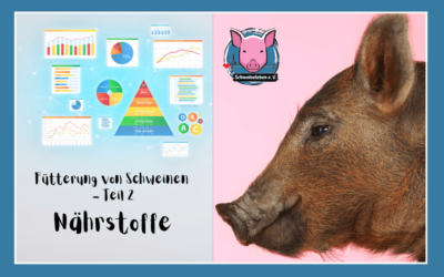 Schweine als Heimtiere – Die Fütterung (Teil 2) – Nährstoffe