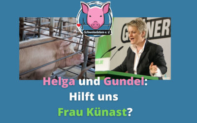 Helga und Gundel – zwei überlebende Schweine aus Alt Tellin  – Teil 4