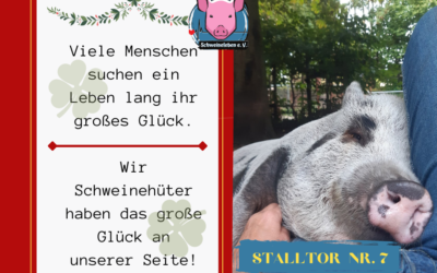 Schweineleben – Adventskalender: Stalltor Nr. 7