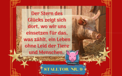 Schweineleben – Adventskalender: Stalltor Nr. 9