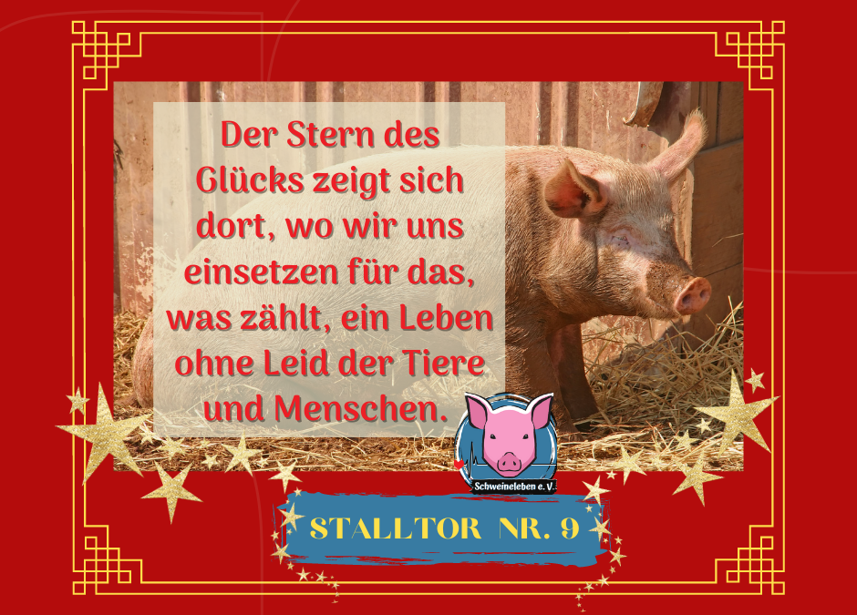 Adventskalender Stalltor Nr. 9