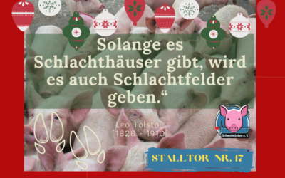 Schweineleben – Adventskalender: Stalltor Nr. 17