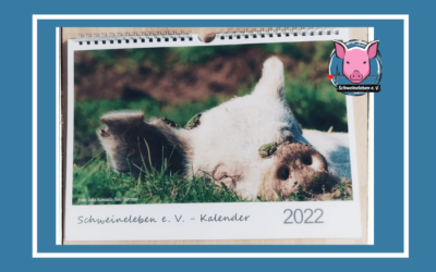 Schweineleben e. V. – Schweinekalender 2022