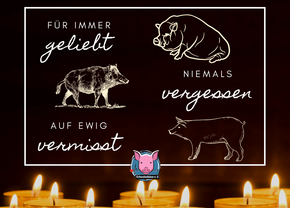 Wir gedenken aller verstorbenen Schweine