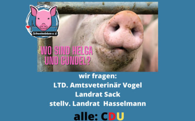 Helga und Gundel – zwei Schweine aus Alt Tellin (Teil 3)