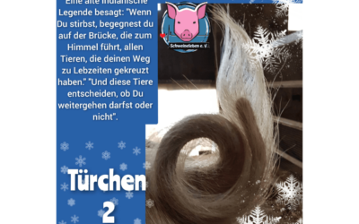 Schweineleben e. V. – Adventskalender: Stalltor Nr. 2