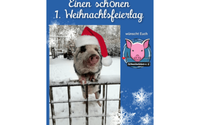 Schweineleben e. V. wünscht einen schönen 1. Weihnachtsfeiertag