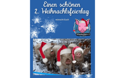 Schweineleben e. V. wünscht einen schönen 2. Weihnachtsfeiertag