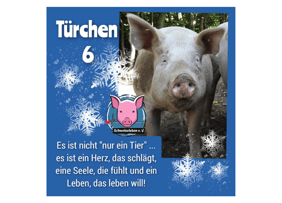 Schweineleben e. V. Adventskalender 2021