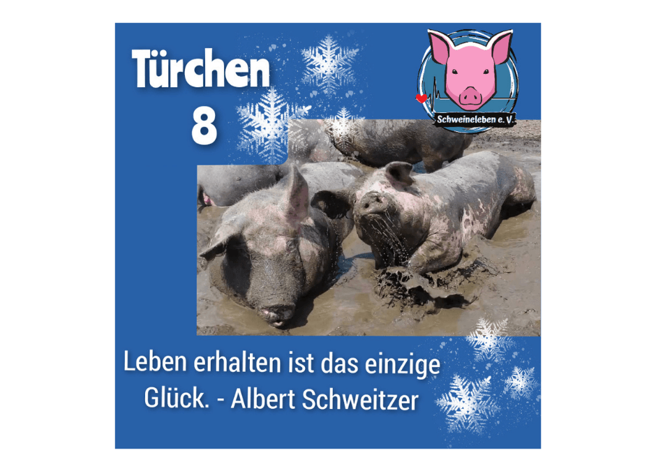 Schweineleben e. V. - Adventskalender 2021