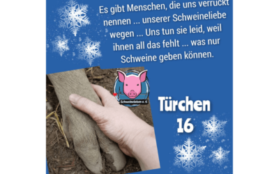 Schweineleben e. V. – Adventskalender 2021: Stalltor Nr. 16